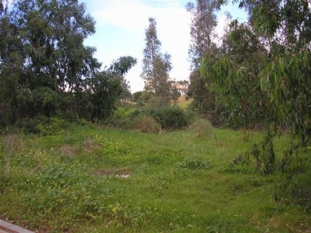 Land&nbsp;for&nbsp;sale&nbsp;in&nbsp;town&nbsp;173313