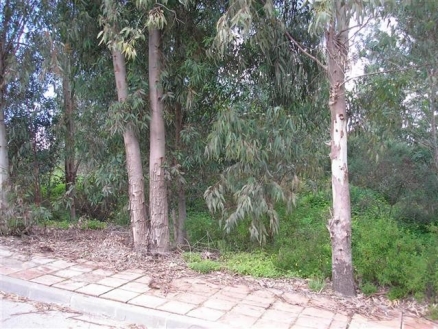 Land&nbsp;for&nbsp;sale&nbsp;in&nbsp;town,&nbsp;Spain&nbsp;173313