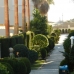 Las Chapas De Marbella property: Las Chapas De Marbella, Spain Townhome 173509