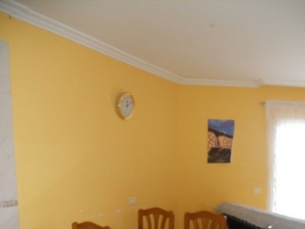 town&nbsp;Apartment&nbsp;173634