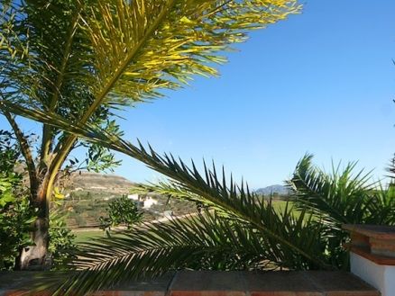 Coin property: Malaga property | 3 bedroom Villa 173785