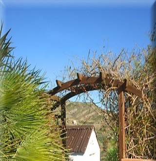 Coin property: Malaga Villa 173785