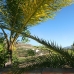 Coin property: Coin Villa, Spain 173785