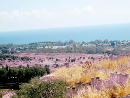 Benahavis property: Land for sale in Benahavis, Spain 173825