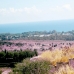 Benahavis property: Benahavis, Spain Land 173825