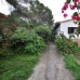 Portals Nous property: Mallorca, Spain Villa 173860