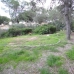 Portals Nous property:  Villa in Mallorca 173860