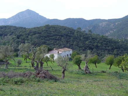 Puigpunyent&nbsp;property:&nbsp;Villa&nbsp;with&nbsp;9+&nbsp;bedroom&nbsp;in&nbsp;Puigpunyent&nbsp;173869