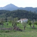 Puigpunyent&nbsp;property:&nbsp;9+&nbsp;bedroom&nbsp;Villa&nbsp;in&nbsp;Puigpunyent,&nbsp;Spain&nbsp;173869