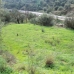 Coin property: Malaga Villa, Spain 173870