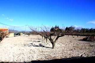 Alicante&nbsp;Villa&nbsp;173880