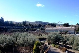 town&nbsp;Villa&nbsp;173880