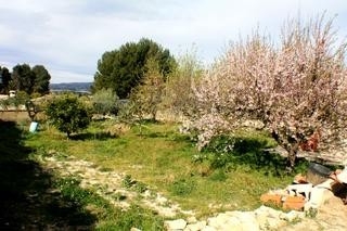 town&nbsp;Villa&nbsp;173881