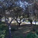 Elviria property: Land for sale in Elviria 173946