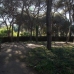 Elviria property: bedroom Land in Elviria, Spain 173946