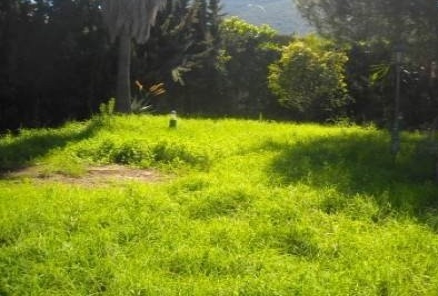 Alhaurin&nbsp;De&nbsp;La&nbsp;Torre&nbsp;property:&nbsp;Malaga&nbsp;property&nbsp;|&nbsp;7&nbsp;bedroom&nbsp;Villa&nbsp;173994