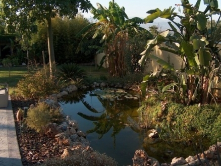 Alhaurin De La Torre property: Villa in Malaga for sale 174003