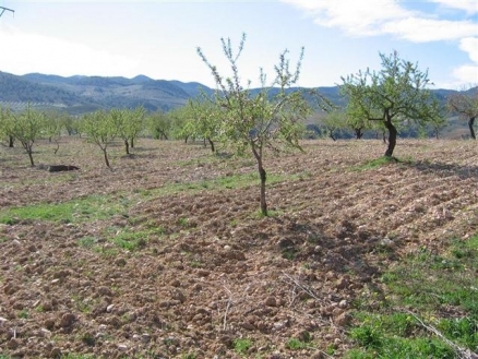 La&nbsp;Parroquia&nbsp;property:&nbsp;Land&nbsp;for&nbsp;sale&nbsp;in&nbsp;La&nbsp;Parroquia,&nbsp;Spain&nbsp;174022