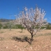 La&nbsp;Parroquia&nbsp;property:&nbsp;bedroom&nbsp;Land&nbsp;in&nbsp;Murcia&nbsp;174022