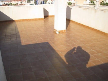 Algorfa property: Alicante Villa 174144