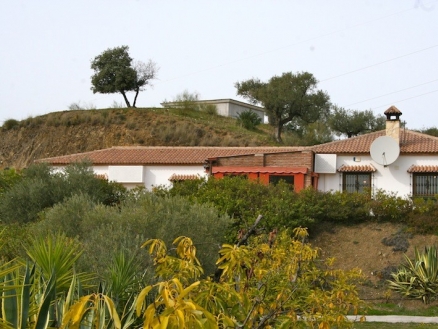 Coin property: Villa for sale in Coin, Spain 174269