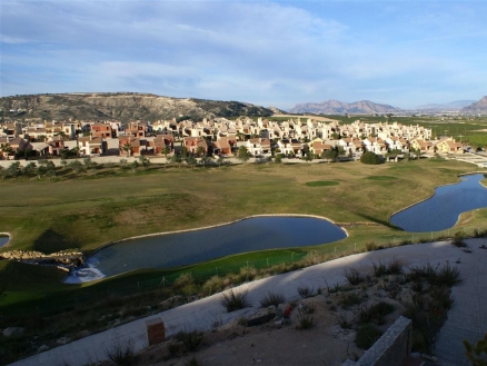 town&nbsp;Apartment&nbsp;174524