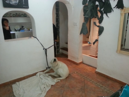 Apartment for sale in town, Spain 174536