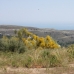 Benahavis&nbsp;property:&nbsp;bedroom&nbsp;Land&nbsp;in&nbsp;Benahavis,&nbsp;Spain&nbsp;174608