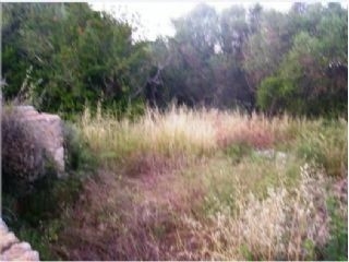 Land&nbsp;for&nbsp;sale&nbsp;in&nbsp;town,&nbsp;Mallorca&nbsp;174997