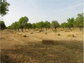 Selva&nbsp;property:&nbsp;Land&nbsp;for&nbsp;sale&nbsp;in&nbsp;Selva&nbsp;175017