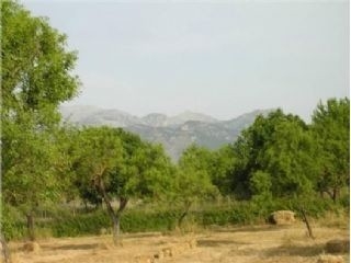 Selva&nbsp;property:&nbsp;Land&nbsp;for&nbsp;sale&nbsp;in&nbsp;Selva,&nbsp;Spain&nbsp;175017