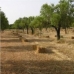 Selva&nbsp;property:&nbsp;bedroom&nbsp;Land&nbsp;in&nbsp;Selva,&nbsp;Spain&nbsp;175017