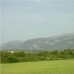 Selva&nbsp;property:&nbsp;&nbsp;Land&nbsp;in&nbsp;Mallorca&nbsp;175017