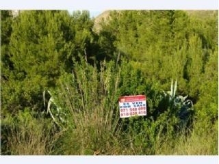 Betlem&nbsp;property:&nbsp;Land&nbsp;for&nbsp;sale&nbsp;in&nbsp;Betlem&nbsp;175051