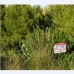 Betlem&nbsp;property:&nbsp;Mallorca,&nbsp;Spain&nbsp;Land&nbsp;175051