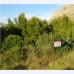 Betlem&nbsp;property:&nbsp;Betlem,&nbsp;Spain&nbsp;Land&nbsp;175051