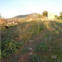 Inca&nbsp;property:&nbsp;Land&nbsp;for&nbsp;sale&nbsp;in&nbsp;Inca&nbsp;175065