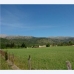 Campanet&nbsp;property:&nbsp;Land&nbsp;in&nbsp;Campanet&nbsp;175123