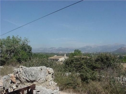 Llubi&nbsp;property:&nbsp;Land&nbsp;with&nbsp;bedroom&nbsp;in&nbsp;Llubi,&nbsp;Spain&nbsp;175221