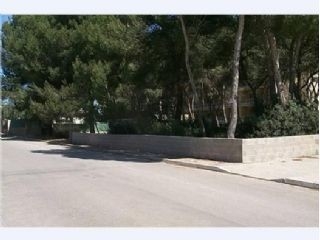 Land&nbsp;for&nbsp;sale&nbsp;in&nbsp;town&nbsp;175242