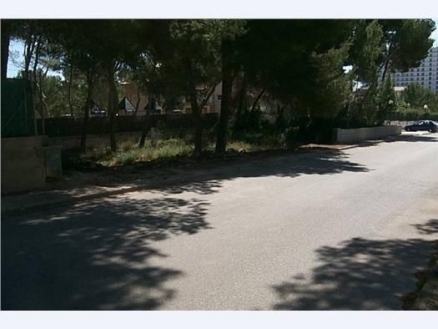 Land&nbsp;for&nbsp;sale&nbsp;in&nbsp;town,&nbsp;Spain&nbsp;175242