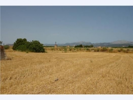Muro&nbsp;property:&nbsp;Land&nbsp;in&nbsp;Mallorca&nbsp;for&nbsp;sale&nbsp;175245