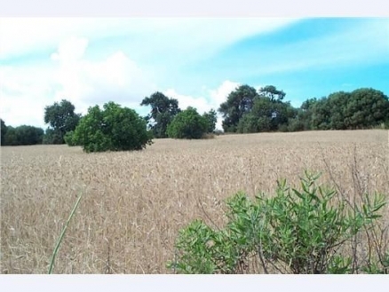 Muro&nbsp;property:&nbsp;Land&nbsp;for&nbsp;sale&nbsp;in&nbsp;Muro,&nbsp;Spain&nbsp;175246