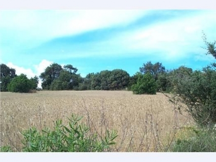 Muro&nbsp;property:&nbsp;Land&nbsp;with&nbsp;bedroom&nbsp;in&nbsp;Muro&nbsp;175246