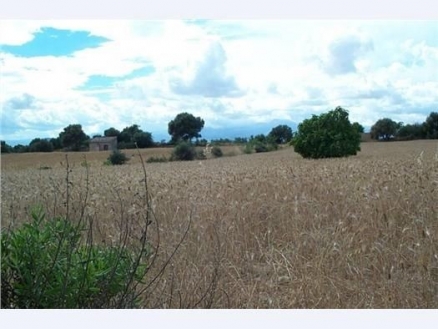 Muro&nbsp;property:&nbsp;Land&nbsp;for&nbsp;sale&nbsp;in&nbsp;Muro,&nbsp;Mallorca&nbsp;175246
