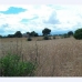 Muro&nbsp;property:&nbsp;&nbsp;Land&nbsp;in&nbsp;Mallorca&nbsp;175246
