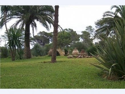 Muro&nbsp;property:&nbsp;Land&nbsp;with&nbsp;7&nbsp;bedroom&nbsp;in&nbsp;Muro&nbsp;175248