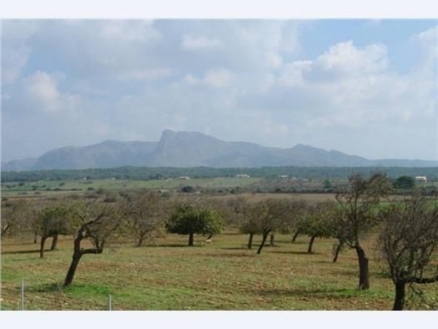 Son&nbsp;Serra&nbsp;de&nbsp;Marina&nbsp;property:&nbsp;Land&nbsp;for&nbsp;sale&nbsp;in&nbsp;Son&nbsp;Serra&nbsp;de&nbsp;Marina,&nbsp;Spain&nbsp;175273