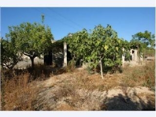 Campanet&nbsp;property:&nbsp;Land&nbsp;for&nbsp;sale&nbsp;in&nbsp;Campanet,&nbsp;Mallorca&nbsp;175326