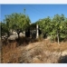 Campanet&nbsp;property:&nbsp;&nbsp;Land&nbsp;in&nbsp;Mallorca&nbsp;175326